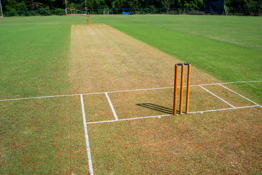 Cricket
